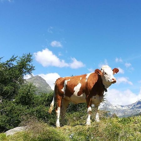 Simiterhof Lägenhet Matrei in Osttirol Exteriör bild