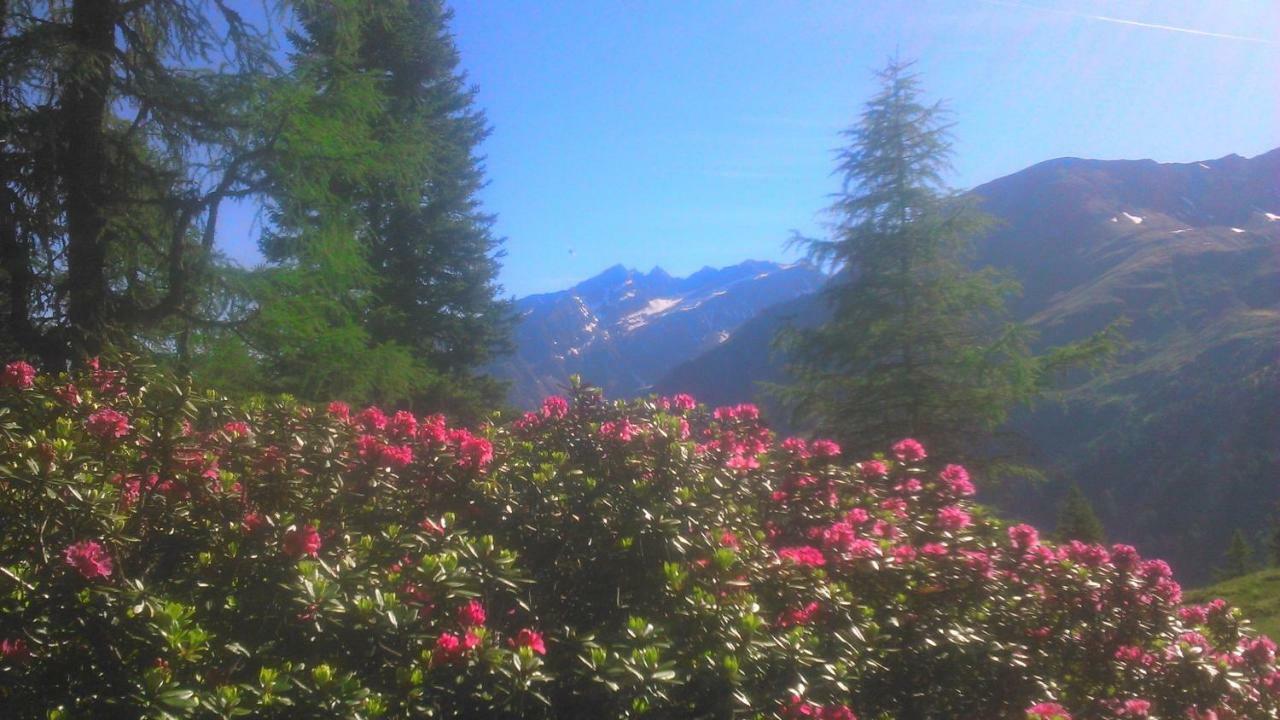 Simiterhof Lägenhet Matrei in Osttirol Exteriör bild