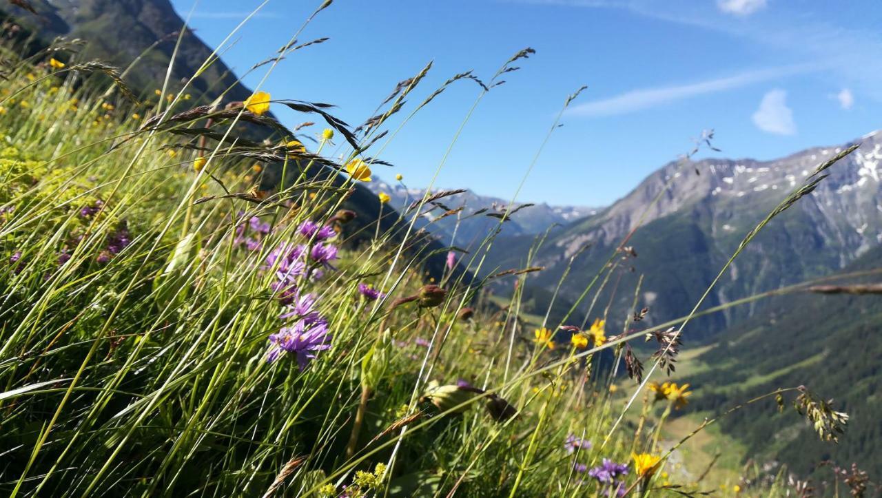 Simiterhof Lägenhet Matrei in Osttirol Exteriör bild